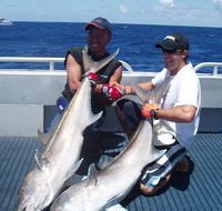 Blue Juice Charters - Accommodation in Brisbane