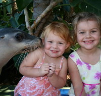 Dolphin Marine Magic - Accommodation in Brisbane