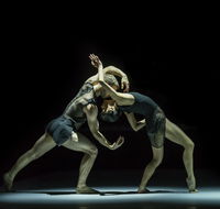 Sydney Dance Company - Accommodation in Brisbane