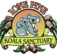 Lone Pine Koala Sanctuary - Accommodation in Brisbane