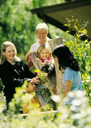 Cleland Wildlife Park - Accommodation in Brisbane 5