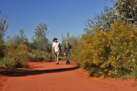 Alice Springs Desert Park - Accommodation in Brisbane 3