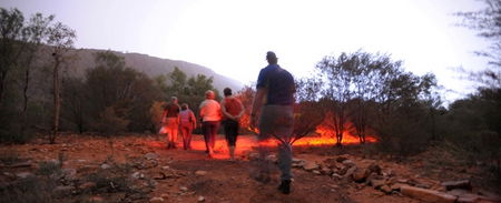 Alice Springs Desert Park - Accommodation in Brisbane 4