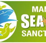 Manly SEA LIFE Sanctuary - Accommodation in Brisbane
