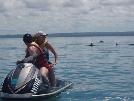 Aquavue Cafe Watersports - Accommodation in Brisbane 5
