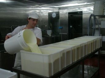 Witches Chase Cheese Co - Accommodation in Brisbane 1