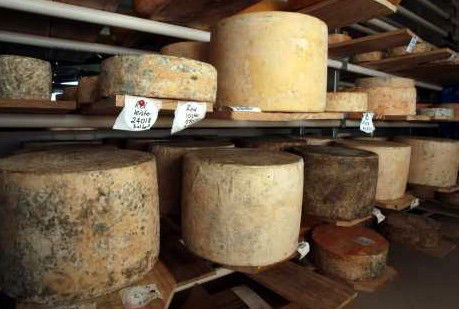 Witches Chase Cheese Co - Accommodation in Brisbane 3