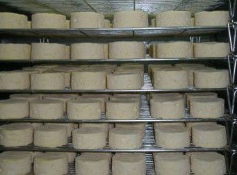 Witches Chase Cheese Co - Accommodation in Brisbane 5