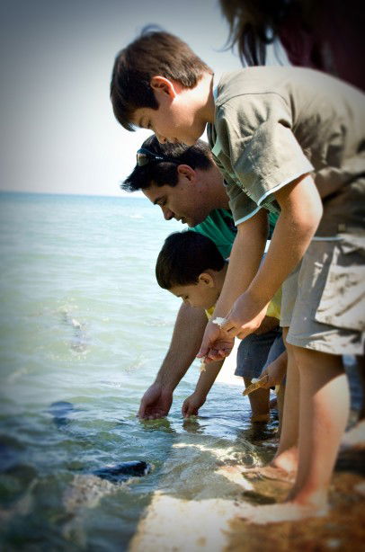 Aquascene Fish Feeding Sanctuary - Accommodation in Brisbane 3