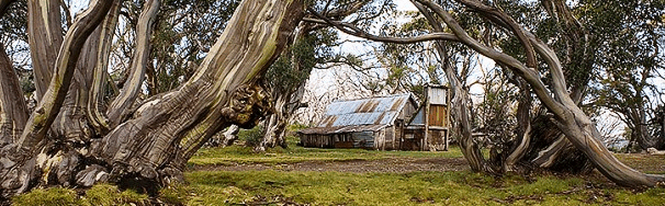 High Country Scenic Tours - Accommodation in Brisbane