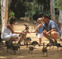 Billabong Sanctuary - Accommodation in Brisbane