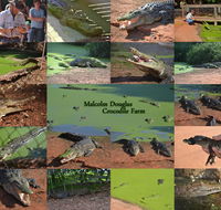 The Malcolm Douglas Crocodile Park - Accommodation in Brisbane