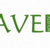 Agave Holistic Day Spa  Beauty - Accommodation in Brisbane