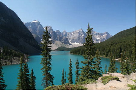 APT - Accommodation in Brisbane 5