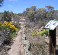 Christmas Rock Walk - Accommodation in Brisbane