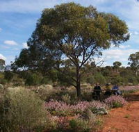 Karlkurla Bushland Park - Accommodation in Brisbane