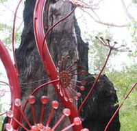 Understory Art In Nature - Accommodation in Brisbane