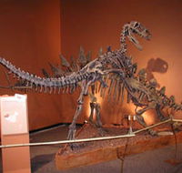 Denmark Dinosaur World - Accommodation in Brisbane