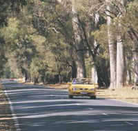 Ludlow Tuart Forest - Accommodation in Brisbane