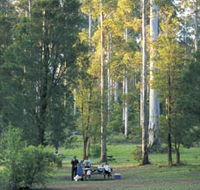 Big Brook Arboretum - Accommodation in Brisbane