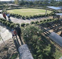 Kojonup Rose Maze - Accommodation in Brisbane