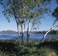 Celebrity Tree Park - Accommodation in Brisbane