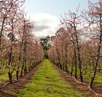 Raeburn Orchards - Accommodation in Brisbane
