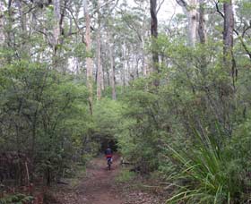  Accommodation in Brisbane