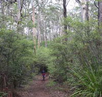 Margaret River Rails Trail - Accommodation in Brisbane