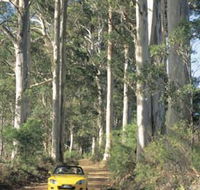 Scotsdale Tourist Drive - Accommodation in Brisbane