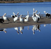 Peel Region Canoe Trails - Accommodation in Brisbane