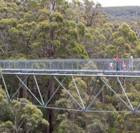 Walpole Wilderness Discovery Centre - Accommodation in Brisbane