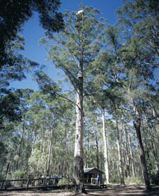 Smith Brook WA Accommodation in Brisbane