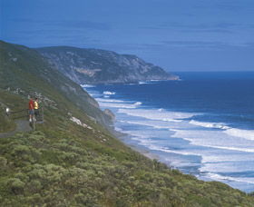 Sandpatch - Accommodation in Brisbane 0