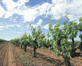 Blackwood Meadery - Accommodation in Brisbane 0