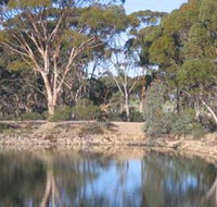 Merredin Railway Dam - Accommodation in Brisbane