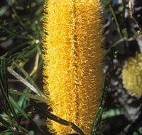 Moore River National Park - Accommodation in Brisbane