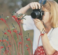 Gingin Cemetery - Accommodation in Brisbane