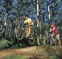Leeuwin-Naturaliste National Park - Cowaramup - Accommodation in Brisbane