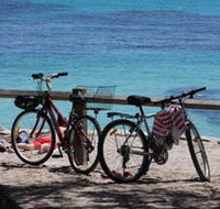Parker Point Marine Snorkel Trail - Accommodation in Brisbane