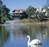 White Swans - Accommodation in Brisbane