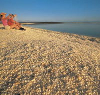 Shell Beach - Accommodation in Brisbane