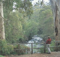 Cascades - Accommodation in Brisbane