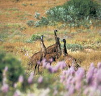 Jurabi Coastal Reserve - Accommodation in Brisbane
