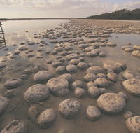 Yalgorup National Park - Accommodation in Brisbane