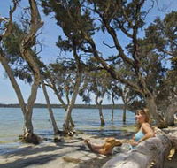 Stokes National Park - Accommodation in Brisbane