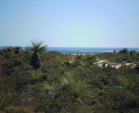 Lesueur National Park - Accommodation in Brisbane 0