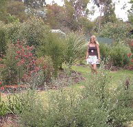 The Mythic Mazes - Accommodation in Brisbane