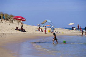 Myalup Beach - Accommodation in Brisbane 0