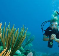 Coastal Water Dive - Accommodation in Brisbane